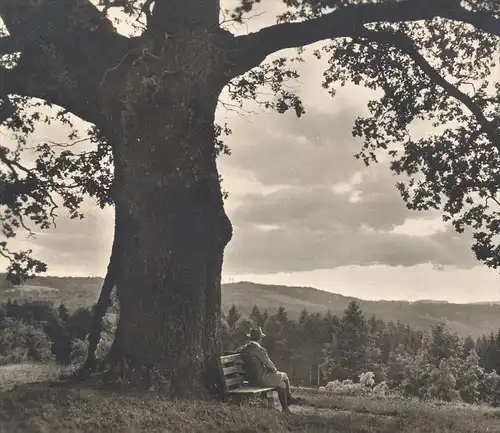 ALTE POSTKARTE MANN AUF BANK BAUM EICHE VERLAG METZ STEMPEL TÜBINGEN TREE ARBRE oak chene cpa postcard AK Ansichtskarte