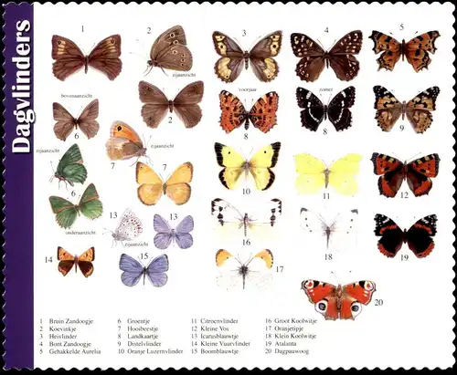 POSTKARTE DAGVLINDERS SCHMETTERLINGE BUTTERFLY Schmetterling Dagvlinder papillon papillons butterflies insect insecte AK