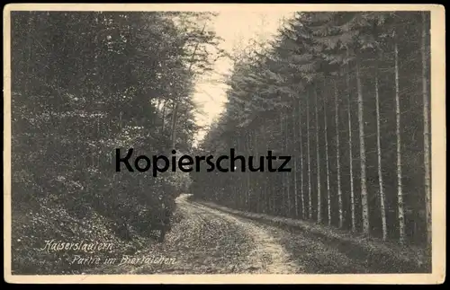 ALTE POSTKARTE KAISERSLAUTERN PARTIE IM BIERTÄLCHEN MANN 1908 man homme AK Ansichtskarte cpa postcard