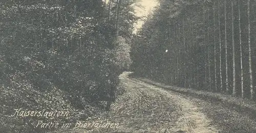 ALTE POSTKARTE KAISERSLAUTERN PARTIE IM BIERTÄLCHEN MANN 1908 man homme AK Ansichtskarte cpa postcard