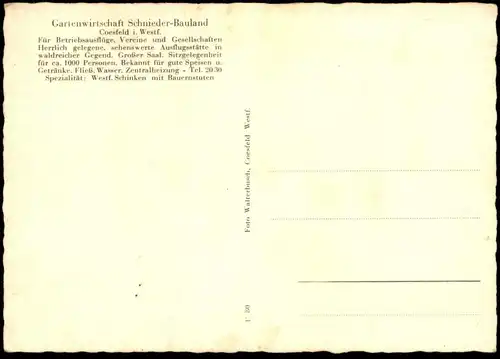 ALTE POSTKARTE ALTDEUTSCHE GASTSTÄTTE SCHNIEDER - BAULAND COESFELD SPEZIALITÄT SCHINKEN Saal Kamin AK postcard cpa