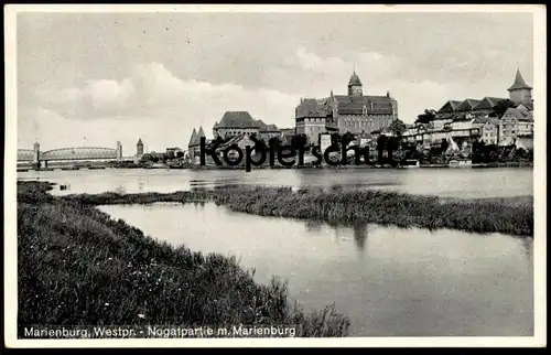 ALTE POSTKARTE MARIENBURG NOGATPARTIE MIT MARIENBURG NOGAT MALBORK WESTPREUSSEN Polen Polska pologne poland cpa postcard