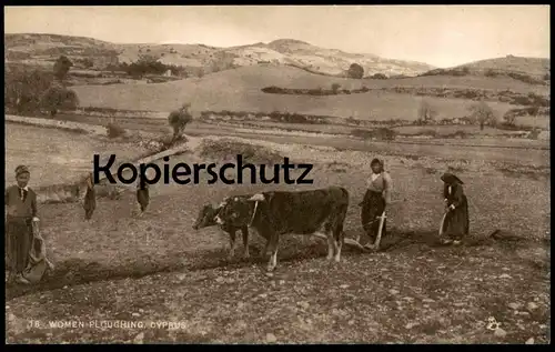 ALTE POSTKARTE WOMEN PLOUGHING CYPRUS RAPHAEL TUCK'S POSTCARD farmer Bauer Kühe Cows Vaches Chypre Zypern cultivateur AK