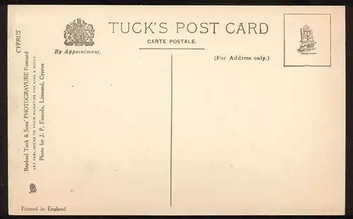 ALTE POSTKARTE WOMEN PLOUGHING CYPRUS RAPHAEL TUCK'S POSTCARD farmer Bauer Kühe Cows Vaches Chypre Zypern cultivateur AK