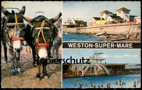 ÄLTERE POSTKARTE WESTON-SUPER-MARE DONKEY FLOWER & BETTY swimming pool piscine donkeys Esel ane postcard cpa AK