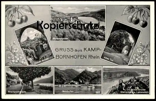 ALTE POSTKARTE GRUSS AUS KAMP-BORNHOFEN BLÜTENWUNDER STERRENBERG U. LIEBENSTEIN Kirschen Kirsche cherry cerise Loreley