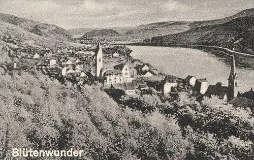 ALTE POSTKARTE GRUSS AUS KAMP-BORNHOFEN BLÜTENWUNDER STERRENBERG U. LIEBENSTEIN Kirschen Kirsche cherry cerise Loreley