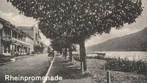 ALTE POSTKARTE GRUSS AUS KAMP-BORNHOFEN BLÜTENWUNDER STERRENBERG U. LIEBENSTEIN Kirschen Kirsche cherry cerise Loreley