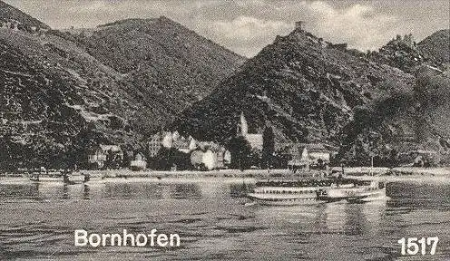 ALTE POSTKARTE GRUSS AUS KAMP-BORNHOFEN BLÜTENWUNDER STERRENBERG U. LIEBENSTEIN Kirschen Kirsche cherry cerise Loreley