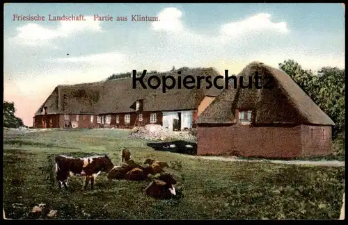 ALTE POSTKARTE PARTIE AUS KLINTUM FRIESISCHE LANDSCHAFT LECK HOF NAHNSEN ? BAUERNHAUS BAUERNHOF farm house ferme cow