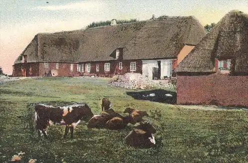 ALTE POSTKARTE PARTIE AUS KLINTUM FRIESISCHE LANDSCHAFT LECK HOF NAHNSEN ? BAUERNHAUS BAUERNHOF farm house ferme cow