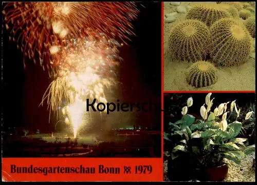 ÄLTERE POSTKARTE BONN BUNDESGARTENSCHAU 1979 FEUERWERK KATKUS KAKTEEN FIREWORKS Cactus Cactier Feu d'artifice postcard