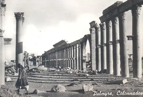 ÄLTERE POSTKARTE PALMYRE COLONNADES Palmyra Columnates Tadmur Syrie Syria Syrien cpa postcard AK Ansichtskarte