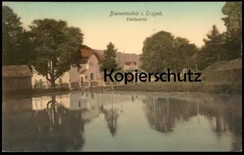 ALTE POSTKARTE RECHENBERG-BIENENMÜHLE TEICHPARTIE 1908 ERZGEBIRGE TEICH SACHSEN an Doerenkamp postcard AK Ansichtskarte