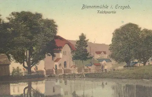 ALTE POSTKARTE RECHENBERG-BIENENMÜHLE TEICHPARTIE 1908 ERZGEBIRGE TEICH SACHSEN an Doerenkamp postcard AK Ansichtskarte