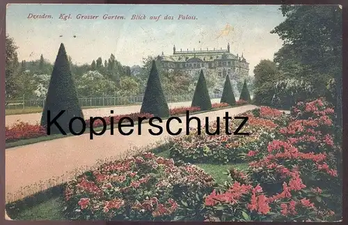 ALTE POSTKARTE DRESDEN KGL. GROSSER GARTEN BLICK AUF DAS PALAIS Blumen flowers Rhododendron cpa postcard Ansichtskarte