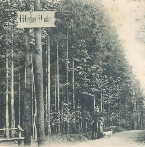 ALTE POSTKARTE GRUSS AUS BARMEN WEGNER-HÖHE 1900 PARTHIE AUS DEN TANNEN BARMER ANLAGEN WUPPERTAL cpa postcard AK