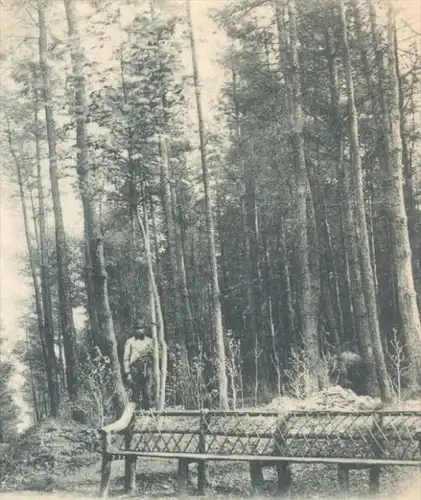 ALTE POSTKARTE GRUSS AUS BARMEN WEGNER-HÖHE 1900 PARTHIE AUS DEN TANNEN BARMER ANLAGEN WUPPERTAL cpa postcard AK