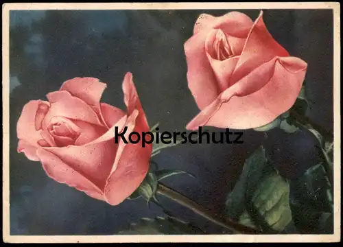 ALTE POSTKARTE ROSEN DEIN WORT IST MEINES FUSSES LEUCHTE Blume Flower Fleur Flowers Rose Stempel Lieberhausen 1944 AK