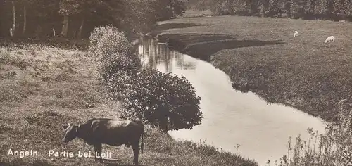 ALTE POSTKARTE ANGELN PARTIE BEI LOIT PANORAMA Kuh cow vache Ziegen Ziege goats goat Schleswig-Holstein cpa postcard