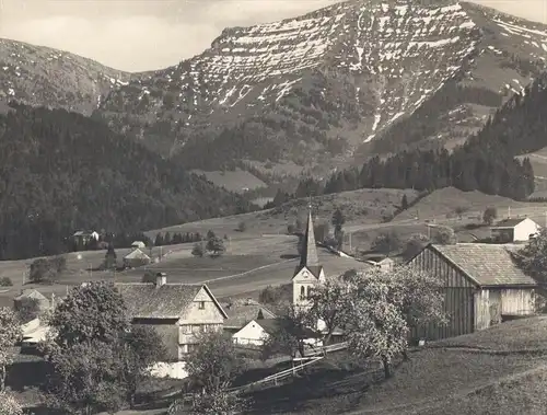 ALTE POSTKARTE STEIBIS 860M MIT RINDALPHORN HOCHGRAT BEI OBERSTAUFEN IM BAYERISCHEN ALLGÄU BAYERN AACH cpa postcard AK