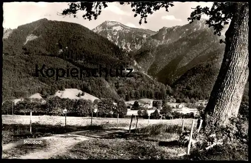 ÄLTERE POSTKARTE STAUDACH EGERNDACH PANORAMA BEI TRAUNSTEIN Eiche Baum oak tree chene arbre cpa postcard Ansichtskarte