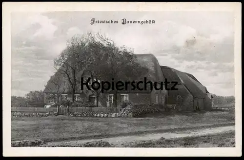 ALTE POSTKARTE FRIESISCHES BAUERNGEHÖFT BAUERNHAUS FRIESLAND Haus traditional house farm Bauernhof ferme Ansichtskarte