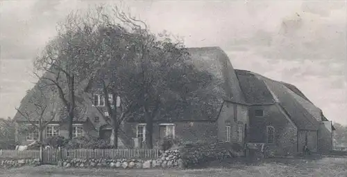 ALTE POSTKARTE FRIESISCHES BAUERNGEHÖFT BAUERNHAUS FRIESLAND Haus traditional house farm Bauernhof ferme Ansichtskarte