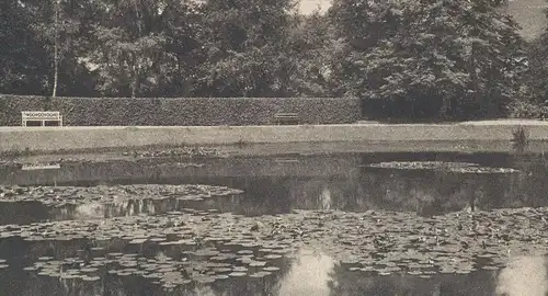 ALTE POSTKARTE BAD PYRMONT GOLDFISCHTEICH Teich étang pond lake Ansichtskarte AK postcard cpa