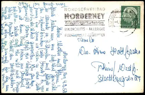 ÄLTERE POSTKARTE NORDERNEY SEEHUNDE WATTENMEER Nordsee Robbe Robben seal north sea veau marin phoque commun mer du nord