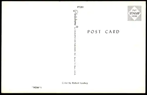 POSTKARTE "HOW" INDIAN Native American Indianer Indians Indien Kopfschmuck feather headdress postcard montage photo