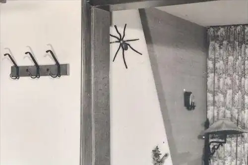 ÄLTERE POSTKARTE LENGERICH KREIS LINGEN EMS GASTSTÄTTE JANSEN-BRINKER Spinne spider araignée cpa postcard Ansichtskarte
