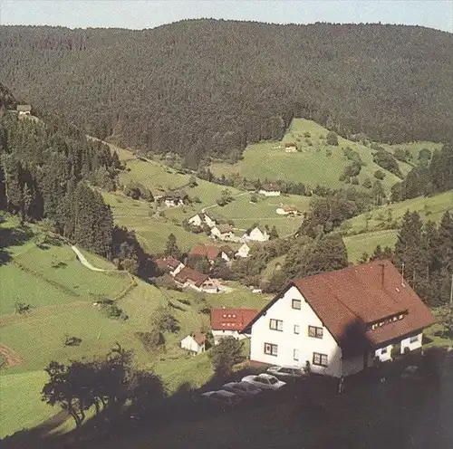 ÄLTERE POSTKARTE BAD RIPPOLDSAU ORTSTEIL HOLZWALD Schwarzwald black forest foret-noire Ansichtskarte cpa postcard