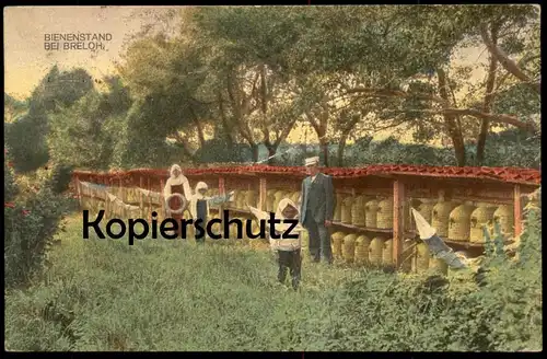ALTE POSTKARTE BIENENSTAND BEI BRELOH Bienenkorb Biene Bienen Ruche Skip Beehive Bee apiculture beekeeping Imker Munster