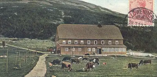 ALTE POSTKARTE RIESENGEBIRGE DIE SPINDLERBAUDE Stempel Löwenberg Schlesien Ansichtskartensammler Globus (Kosmopolit) Kuh