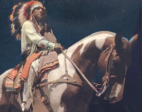 POSTKARTE INDIAN CHIEF TRUSTY PAINT ON WHITE HORSE Indianer Indians Indien Kopfschmuck feather headdress Pferd postcard