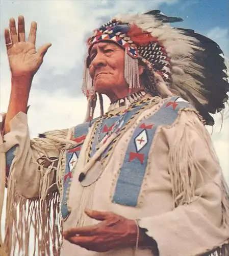 POSTKARTE INDIAN CHIEF BULL GREETING Salutation Indianer Indians Indien Kopfschmuck feather headdress coiffe postcard AK