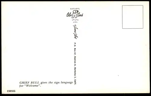 POSTKARTE INDIAN CHIEF BULL GREETING Salutation Indianer Indians Indien Kopfschmuck feather headdress coiffe postcard AK