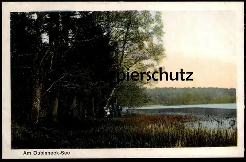 ALTE POSTKARTE AM DUBINNECK-SEE BEI ORLOW LÖTZEN OSTPREUSSEN Orlowen Gizycko Orlowo cpa Ansichtskarte AK cpa postcard