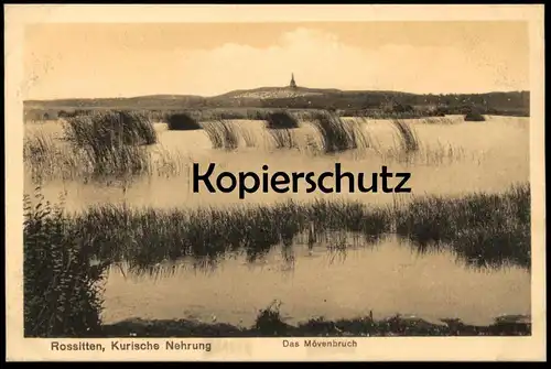 ALTE POSTKARTE ROSSITTEN DAS MÖVENBRUCH KURISCHE NEHRUNG KURISCHES HAFF OSTPREUSSEN Rybatschi Rybachi cpa Ansichtskarte