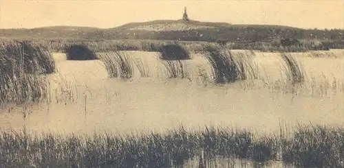 ALTE POSTKARTE ROSSITTEN DAS MÖVENBRUCH KURISCHE NEHRUNG KURISCHES HAFF OSTPREUSSEN Rybatschi Rybachi cpa Ansichtskarte
