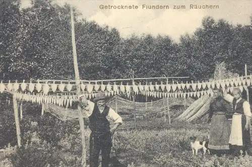 ALTE POSTKARTE SARKAU KURISCHE NEHRUNG GETROCKNETE FLUNDERN ZUM RÄUCHERN KURISCHES HAFF OSTPREUSSEN Lesnoi Sarkaw fisher