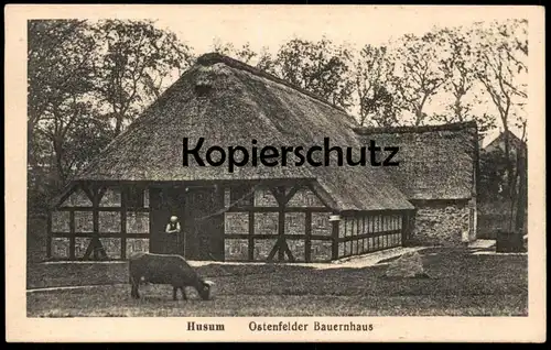 ALTE POSTKARTE HUSUM OSTENFELDER BAUERNHAUS Haus traditional house farm Bauernhof ferme Kuh cow vache cpa postcard