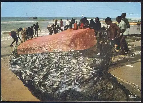 POSTKARTE SCÈNE DE PECHE Afrique en couleurs Africa in colour Fischfang Fischer pecheur fishing scene fisher Afrika cpa