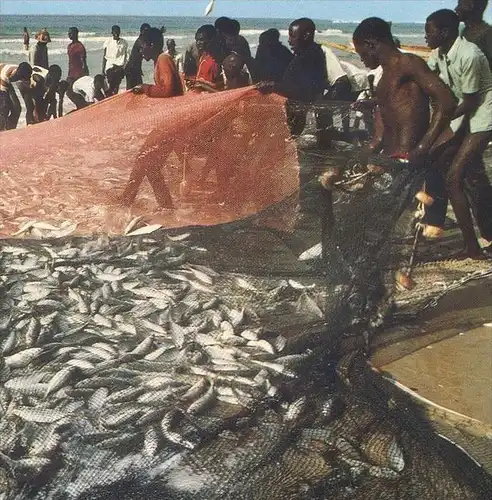 POSTKARTE SCÈNE DE PECHE Afrique en couleurs Africa in colour Fischfang Fischer pecheur fishing scene fisher Afrika cpa