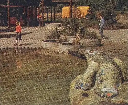 ÄLTERE POSTKARTE FREIZEITPARK ALSDORF Frosch frog grenouille Floß raft radeau theme leisure park cpa postcard AK