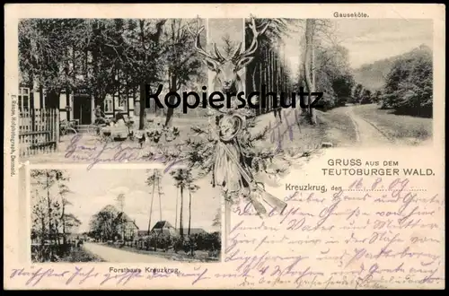 ALTE POSTKARTE FORSTHAUS KREUZKRUG GAUSEKÖTE GRUSS AUS DEM TEUTOBURGER WALD Hirsch Horn-Bad Meinberg Schlangen Detmold