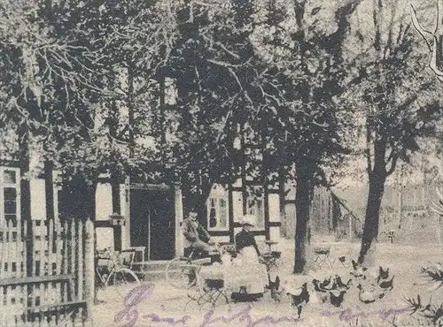ALTE POSTKARTE FORSTHAUS KREUZKRUG GAUSEKÖTE GRUSS AUS DEM TEUTOBURGER WALD Hirsch Horn-Bad Meinberg Schlangen Detmold