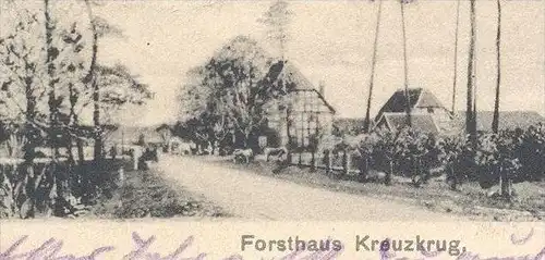 ALTE POSTKARTE FORSTHAUS KREUZKRUG GAUSEKÖTE GRUSS AUS DEM TEUTOBURGER WALD Hirsch Horn-Bad Meinberg Schlangen Detmold