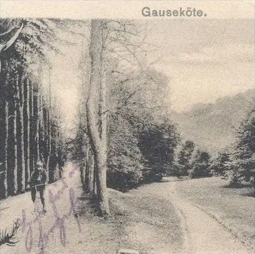 ALTE POSTKARTE FORSTHAUS KREUZKRUG GAUSEKÖTE GRUSS AUS DEM TEUTOBURGER WALD Hirsch Horn-Bad Meinberg Schlangen Detmold